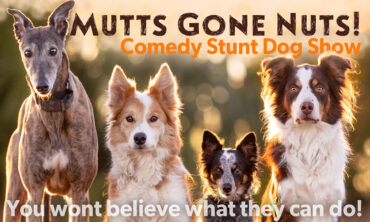 Mutts Gone Nuts