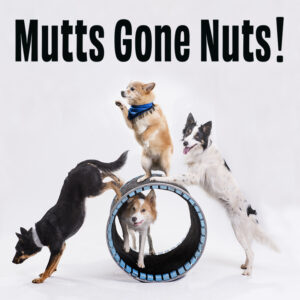 Mutts Gone Nuts