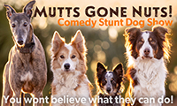 mutts_gone_nuts_200_120