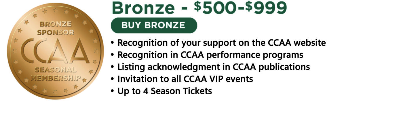 Bronze2025