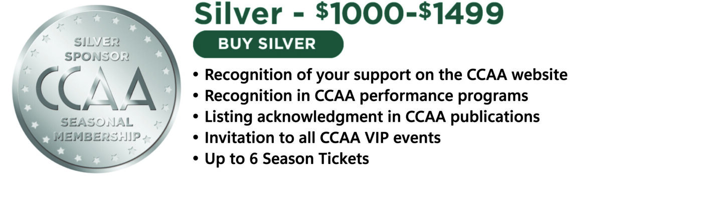 Silver2025